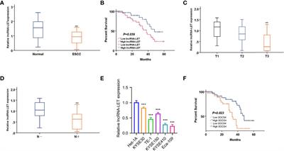 lncRNA-LET Regulates Glycolysis and Glutamine Decomposition of Esophageal Squamous Cell Carcinoma Through miR-93-5p/miR-106b-5p/SOCS4